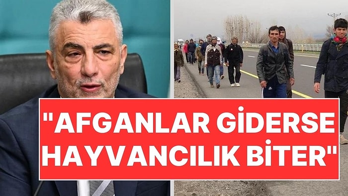 Ticaret Bakanı Ömer Bolat: "Afganlar Giderse Türkiye'de Hayvancılık Biter"