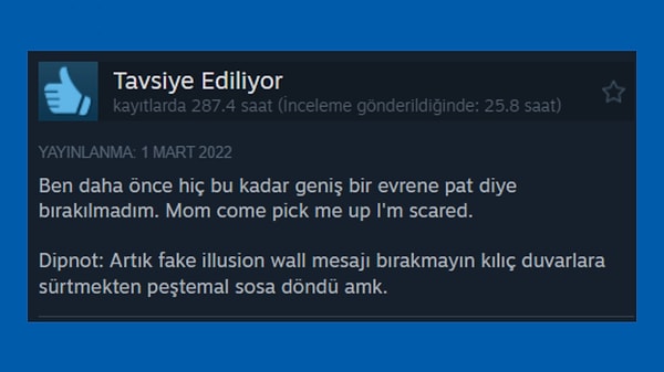 Peştemal sosa mı takılayım, oyuncuların birbirlerine fake attığı mesajlara yapılan siteme mi hak vereyim arada kaldım.