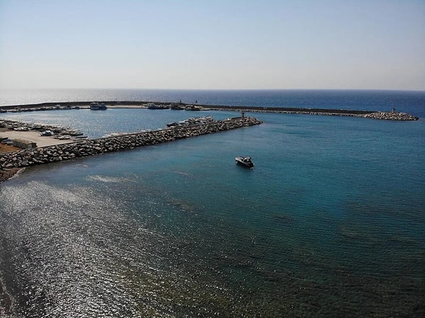 Yer üstü zenginliği ve biyolojik çeşitliliğiyle dikkat çeken Hatay’ın kıyıları da birçok canlı türüne ev sahipliği yapıyor.