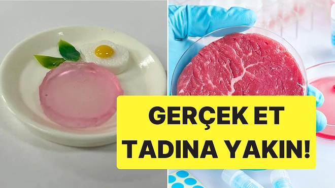 Bunu da Yaptılar: Laboratuvarda Üretilen Jelatinin Tadı Gerçek Eti Aratmıyor