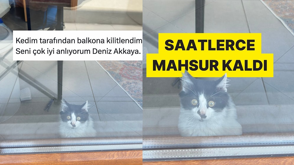 Sahibini Balkona Kilitleyen Kedi Gününüzü Güzelleştirecek