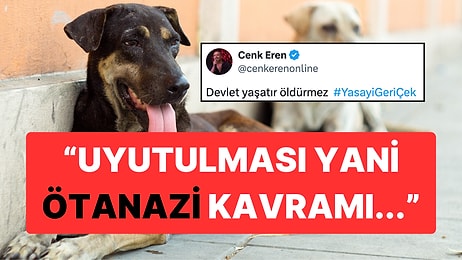 Sokak Hayvanlarına Ötanazi Teklifine Vatandaşlardan Tepkiler Çığ Gibi Büyüyor!