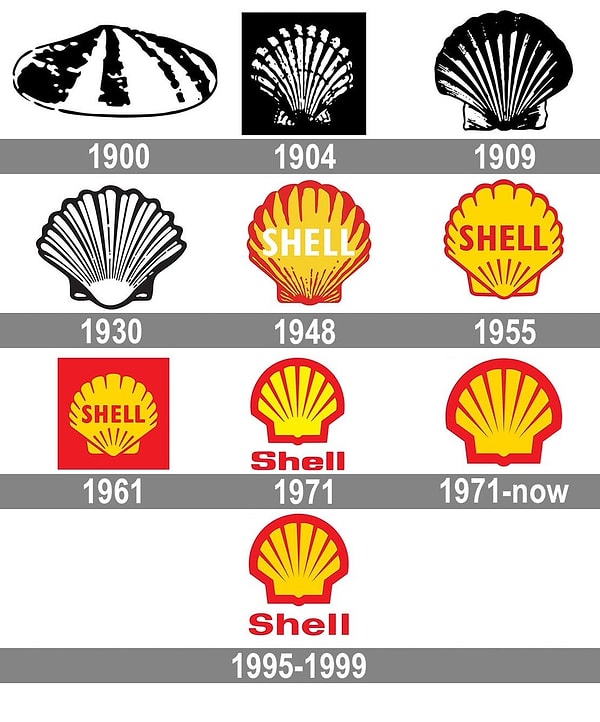 7. Shell