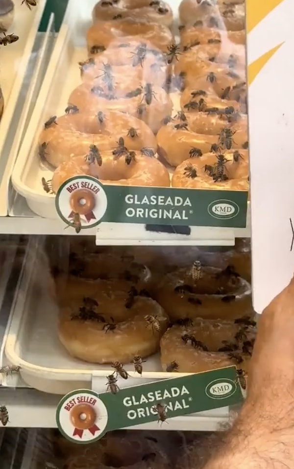 Bu donut dükkanında arılar donutların yer aldığı tezgahlarda gezinebiliyor.