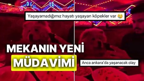 Pavyonda Köpeğine Masa Kuran Vatandaş Sosyal Medya Gündeminde: “Köpek Hayalimizi Yaşıyor”