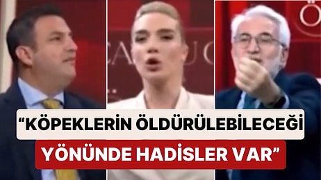 Canlı Yayında Sokak Köpekleri Tartışması: "Köpeklerin Öldürülebileceği Yönünde Hadisler Var"