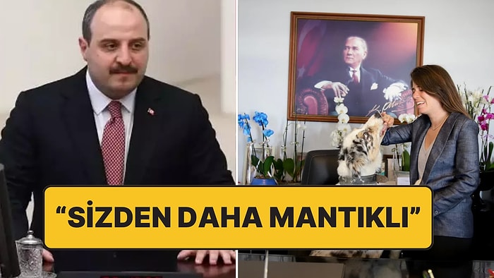Mustafa Varank ile Lâl Denizli Twitter’da Atıştı: "Köpeğim Bile Sizden Daha Mantıklı"
