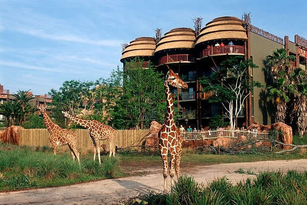 6. Disney's Animal Kingdom - Florida, ABD