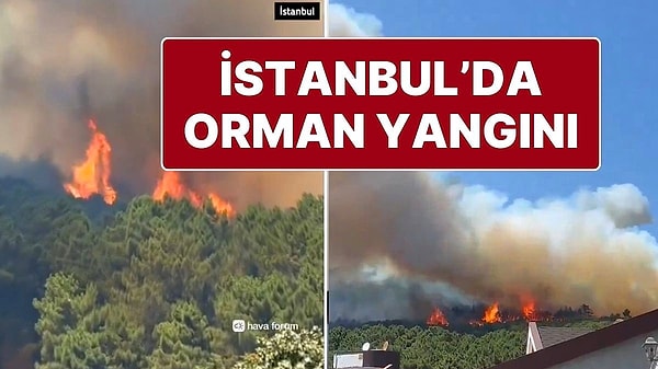 Pendik Aydos Ormanı’nda yangın çıktı. Olay yerine çok sayıda itfaiye ekibi sevk edildi.