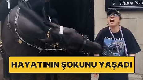 Turiste Hayatının Şoku: Atın Isırdığı Kadın Bayıldı