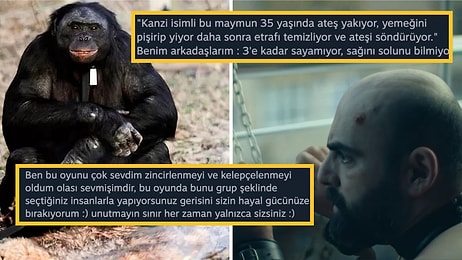 Dostlarımızın Zeka Seviyesini Yüzümüze Vuran Chained Together'a Gelen İsyankar Yorumlar