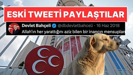 MHP’den Sokak Köpeği Düzenlemesine Karşı Ses: Bahçeli'nin Eski Tweetini Paylaştılar!