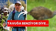 Survivor Benzeri Yarışmada Bir Yarışmacı Nesli Tükenen Hayvanı Yiyince Olanlar Oldu