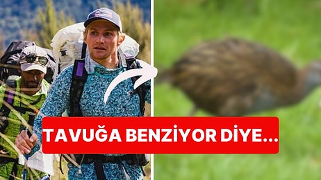 Survivor Benzeri Yarışmada Bir Yarışmacı Nesli Tükenen Hayvanı Yiyince Olanlar Oldu