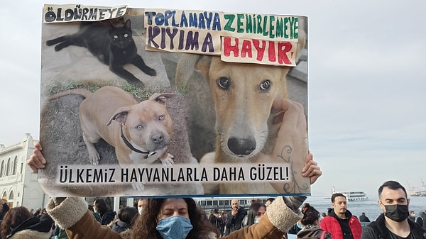 "Teklifin yasalaşması başlangıç. Önemli olan sahiplenme kampanyasıdır. Tüm hayvanseverlerden başıboş köpekleri sahiplenme kampanyamıza güçlü destek bekliyoruz."