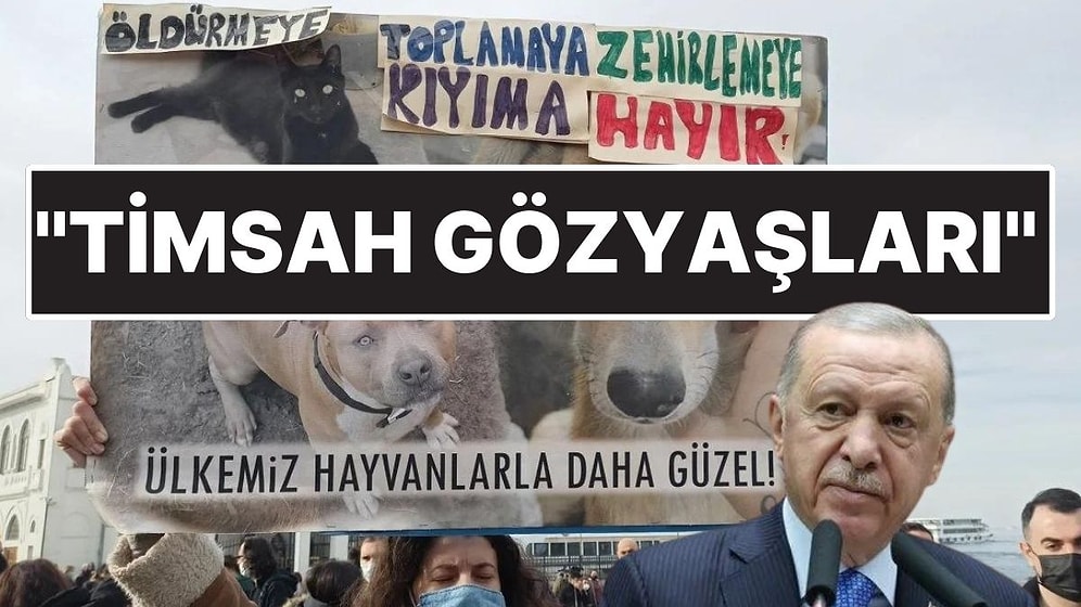 Cumhurbaşkanı Erdoğan, Sokak Köpekleri Düzenlemesini Eleştirenlere Sert Çıktı: "Timsah Gözyaşları"