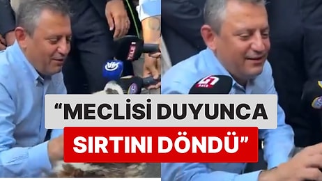 CHP Lideri Özgür Özel'den Sokakta Karşılaştığı Bir Köpeğe: "Meclistekilere Bir Şey Söylemek İster misin?"