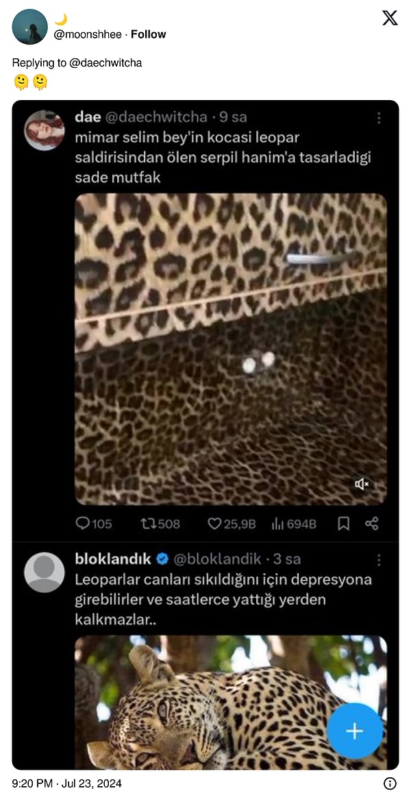 Siz de leoparı görüyor musunuz? 👇