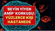 İsrail’de ‘Beyin Yiyen Amip’ Paniği! 100’den Fazla Kişi Hastanede