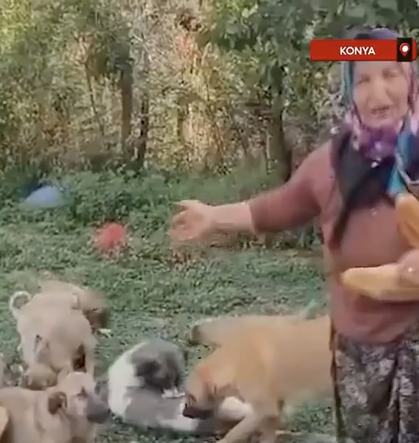 "Bak burada belediyeleri toplarken görürsem affetmem. Ya ölürüm, ya öldürürüm. Ben Buradayım. Millet açlıktan ölüyor, sizin başka işiniz yok mu?" sözlerini de ekledi.