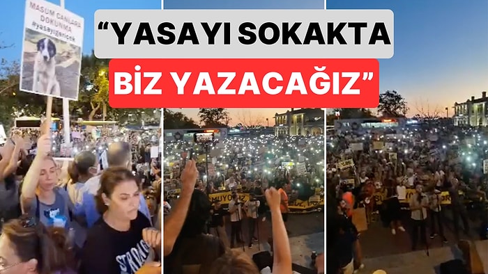 Kadıköy'de Binlerce İnsan Sokak Hayvanları ile İlgili Yasayı Protesto Etmek İçin Bir Araya Geldi