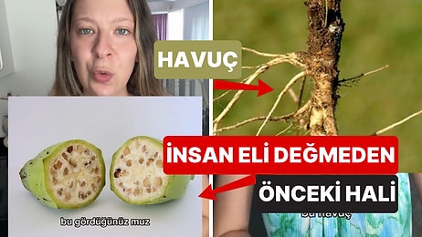 Meyve ve Sebzelerin İnsan Eli Değmeden Önceki Hallerini Görünce Şaşıracaksınız!