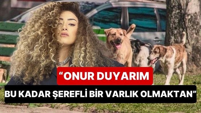 Dilan Çıtak'tan Sahipsiz Sokak Hayvanları Düzenlemesine "Bana Köpek Diye Seslenebilirsiniz" Çıkışı!