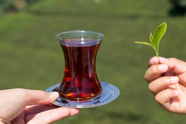 Ancak çok geçmeden ekonomik kaygılar dikkate alınmaya başlandı ve çay bardaklarının boyutunda bir farklılığa gidildi.