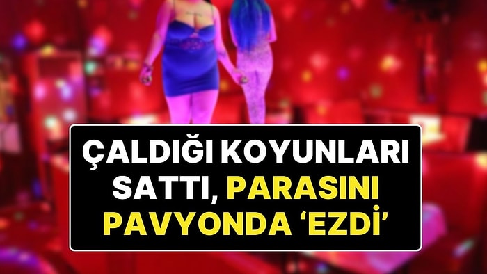 Çoban, Çaldığı 60 Koyunu Satıp Parayı Pavyonda Yedi!