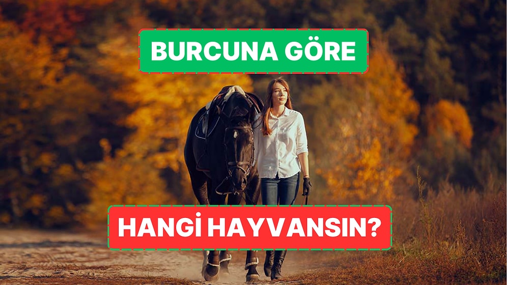 Burcuna Göre Hangi Hayvansın?