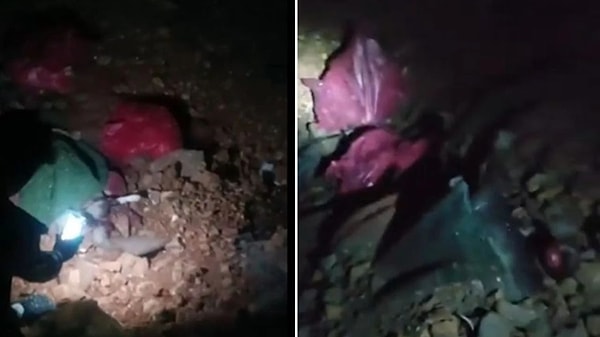 Gece saatlerinde ortaya çıkan katliam, tahmin edilemez boyutlarda olduğu görülüyor. Ankara Altındağ Belediyesi’nin sokaktan topladığı köpekleri katlederek çukurlara gömdüğü tespit edildi. Toplu mezara giden hayvan hakları savunucusu Neylan Solmaz, “Hayvanlar parçalanarak öldürülmüş. Büyük bir katliam var” dedi.