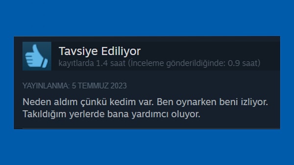 Kediler kendileri hakkında içerik tüketmek için biz kullanacak zeka seviyesine evrimleştiler. Ürkütücü.