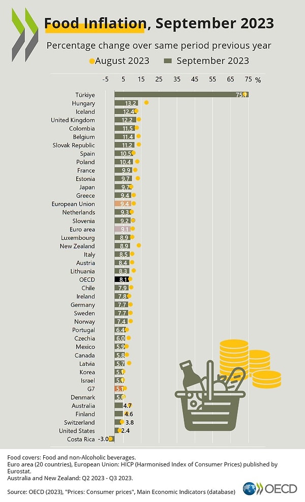 Bir başka dikkat çekici rapor da 2023'ten geldi. OECD ülkeleri arasında bir kez daha birinci olan Türkiye, bu kez gıda enflasyonunda yüzde 75 ile ilk sırada yer aldı.