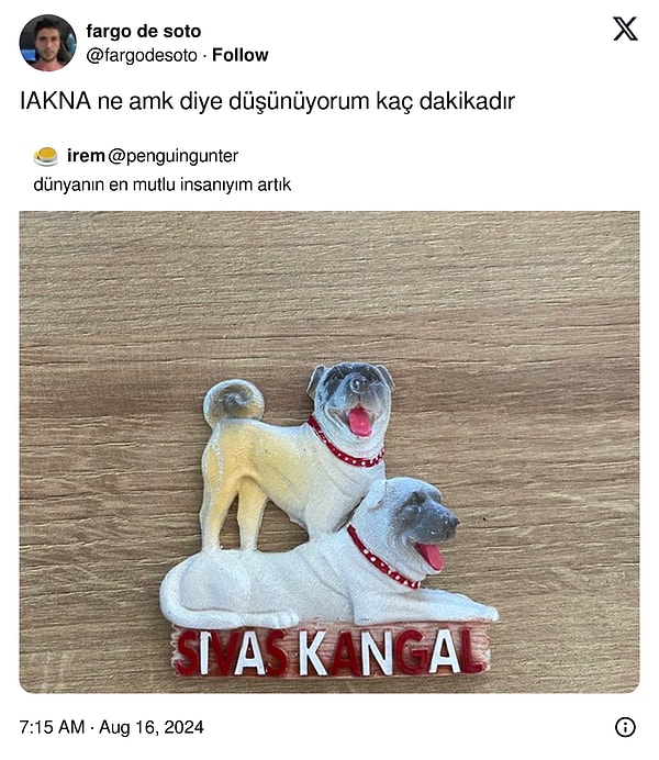 Biz hala düşünüyoruz…