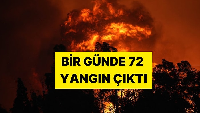 6 Kişi Gözaltına Alındı, 3 Kişi de Aranıyor: Bakan, Yangınların Çıkış Nedenini Açıkladı