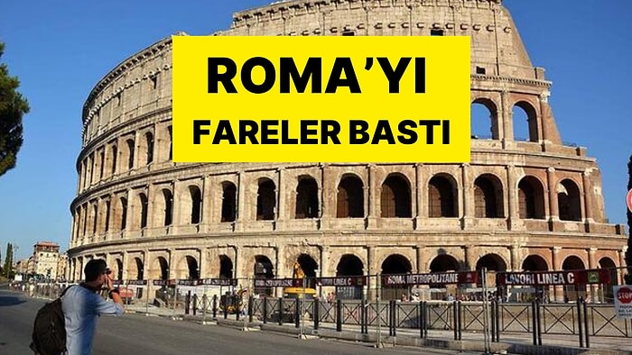 Tarihin En Büyük Medeniyetlerinden Olan Roma'yı Fare ve Yılanlar Bastı