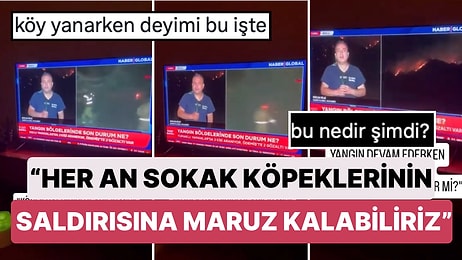 Yangın Haberini Verirken Konuyu Bir Anda Sokak Köpeklerine Getiren Muhabir Tepki Çekti