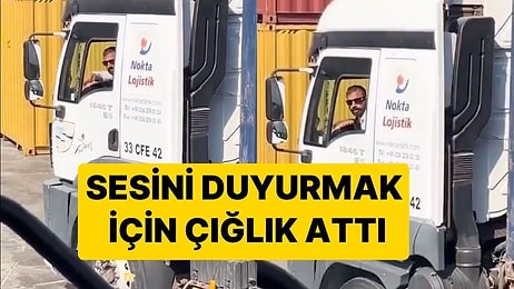 Kornası Bozulan İş Makinası Şoförünün Arkadaşını Uyarma Yöntemi Sosyal Medyada Gündem Oldu