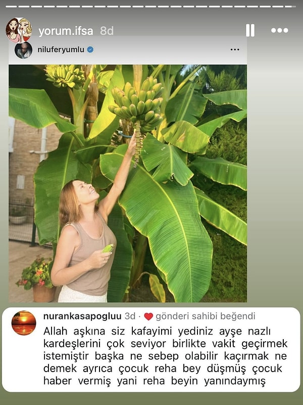 Nilüfer, "Allah aşkınıza siz kafayı mı yediniz? Ayşe Nazlı kardeşlerini çok seviyor birlikte vakit geçirmek istemiştir, ne çocuk kaçırması" yorumuna like bırakıverdi.