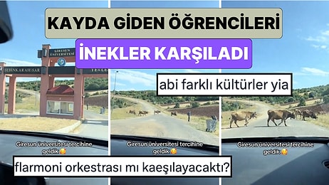 Üniversiteyi Kazanan Bir Genç Kayıt İçin Gittiği Gün Kampüste Karşılaştığı Aşırı Pastoral Manzarayı Paylaştı