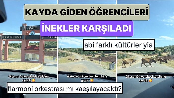 Üniversiteyi Kazanan Bir Genç Kayıt İçin Gittiği Gün Kampüste Karşılaştığı Aşırı Pastoral Manzarayı Paylaştı