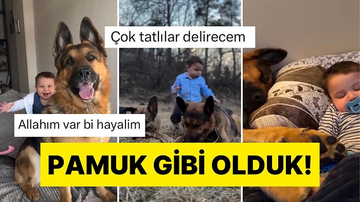 Tatlı Bebeğin Köpek Dostuyla Arasındaki Bağ Kalplerimizi Isıttı