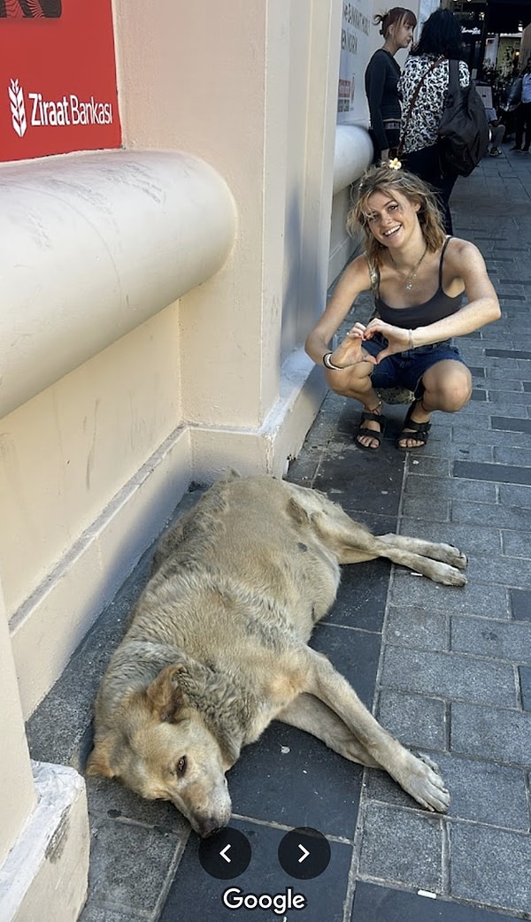 For many, a visit to Istanbul isn't complete without a photo with Boulder.