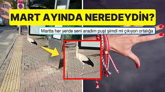 Otobüs Durağında Büyük Bi' Ciddiyetle Bekleyen Leylek Goygoy Malzemesi Oldu