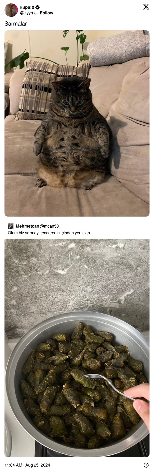 Yavaşça kaydırmaya devam edin...