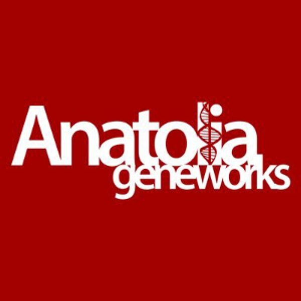 1. Anatolia Tanı ve Biyoteknoloji Ürünleri Ar.Ge. Sanayi Ticaret A.S. (ANGEN)