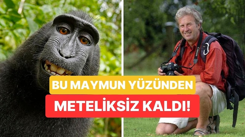 Maymuna Selfie Çektirdiği İçin Beş Parasız Kalan Adamın Ağızları Açık Bırakan Hikayesi