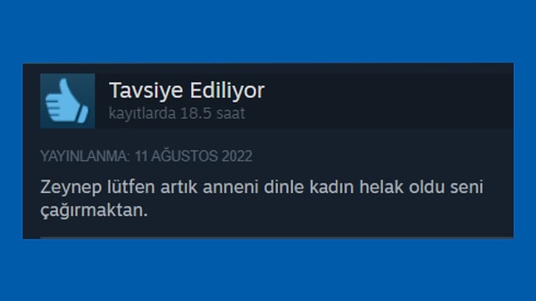 Bakın aradan yıllar geçti, Zeynep'i arayan o NPC'nin sesini hala rüyalarımda duyarım. Acaba bulmuş mudur?