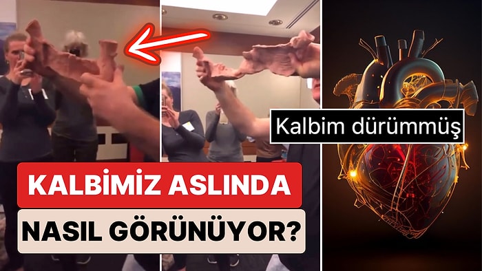 Neden Daha Önce Kimse Göstermedi? Kalbimizin Aslında Nasıl Bir Yapıya Sahip Olduğunu Biliyor muydunuz?