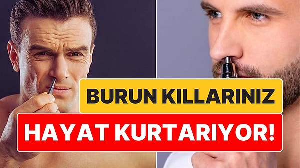 15. Koparmamak Lazımmış: Burun Kıllarımız Aslında Sağlığımızı Kurtarıyor!